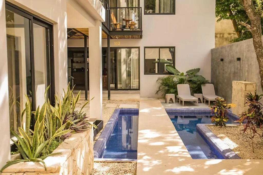 1 Bedroom In Downtown Walking Distance From Bars Tulum Apartment