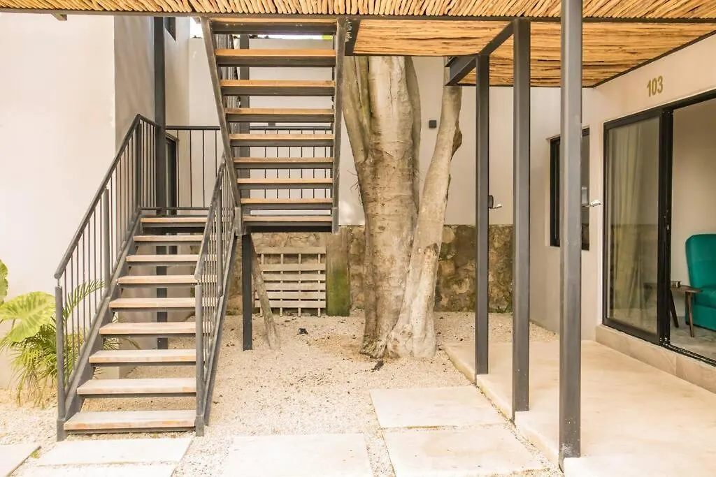 Apartment 1 Bedroom In Downtown Walking Distance From Bars Tulum