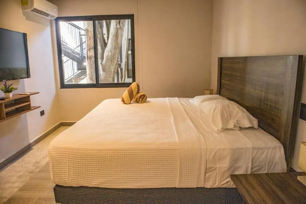 1 Bedroom In Downtown Walking Distance From Bars Tulum Apartment